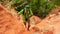 Closeup Tourist Climbs up between Rocks in Fairy-Stream Park