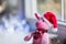 Closeup toy pig in Santa hat and scarf sitting near window in daylight with garland lights on background.