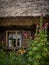 Closeup of a traditional, brown wooden house with thatched roof. A window with shutters. Hollyhocks blooming in the garden.