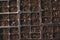 Closeup of a tray of seeding trays and pots filled with healthy seedlings of various plants