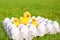 Closeup tray white eggs with the symbols of Easter