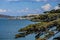 Closeup of tree branches with the Alcatraz Island in the background in California