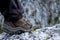 Closeup of trekking boot in the mountain