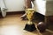 Closeup of trophy on the bedroom floor with basketball