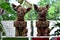 Closeup of two cute chihuahua statues with \\\