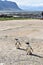 Closeup of two cute Penguins on the beach in BettyÂ´s Bay near Cape Town in South Africa