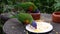 Closeup of two rainbow lorikeets eating food together, bird feeding and pet care, Tropical animal specie from Australia
