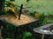 Closeup of two yellow finches fighting above a spiked tray of wild bird seed. One tiny yellow bird is watching