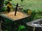 Closeup of two yellow finches fighting above a spiked tray of wild bird seed. One tiny yellow bird is watching