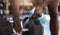 Closeup of unknown african american athlete using spray bottle to sanitise dumbbell weights in gym. Active black man