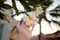 Closeup of unknown woman holding a fragrant Frangipani flower in the pool