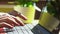 Closeup unrecognizible businesswoman finishing work on laptop at remote office. Woman hands typing on notebook keyboard