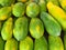 Closeup of unripe papayas under the lights - perfect for food concepts