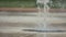 Closeup up of child`s feet playing and running through fountain in public park. Shallow depth of the field, toned video