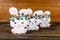 Closeup of variation of different Easter sugar cookies decorated with royal icing. Bunny rabbit with carrots on wooden