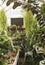 Closeup of various plants in glass house