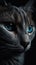 closeup vertical portrait of a tabby cat with blue eyes on black background