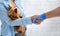 Closeup of veterinarian doc shaking hands with dog owner at animal hospital