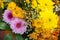 Closeup of a vibrant and inviting floral arrangement.