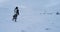 Closeup video of drone in the middle of Arctic walking man through the snowy field to the yurts he wearing traditional