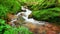 Closeup video of a forest brook with moss covered surroundings