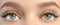 Closeup view of beautiful young woman with eyelash