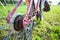 Closeup view of bicycle sprocket on the rear wheel