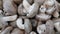 Closeup view of big pile of fresh harvested mushrooms.