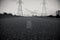 Closeup view of black asphalt road with faded dash lines in front of hydro poles and cloudy evening sky