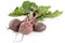 Closeup view of chard with three beetroots on white background