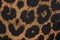 Closeup view of cloth with a leopard print - good for backgrounds