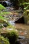 A closeup view of creek in the Japanese garden.