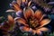 Closeup view of Dahlia flowers against dark background