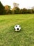 closeup view of a damaged soccer ball standing on a green grass football field