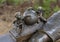 Closeup view detail, `Shakespeare` by artist Gary Lee Price, Dallas Arboretum
