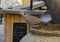 Closeup view of a dove perched on the edge of a large pot on the patio of a hotel in Antibes, France