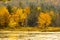 Closeup view of fall foliage at Morey Pond, New Hampshire