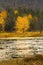 Closeup view of fall foliage at Morey Pond, New Hampshire