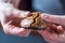 Closeup View Female Hands Breaking Christmas Dark Chocolate Lebkuchen