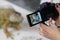 closeup view of female hands making a photo of the green iguana at camera