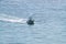 Closeup view of Fishing Boat speeds along in the Atlantic Ocean in the Florida Keys with mid day sun glimmering on water