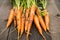 Closeup view of fresh carrots with ground after gathering