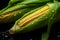 Closeup view of fresh corn
