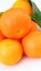 Closeup view on group mandarin fruits.