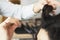 Closeup view of the hairstylist hand combing a new hairstyle on a customer head in hair salon.