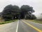 A closeup view of the highway 1 road along the rugged shoreline of the northern california with rugged endless views of the ocean