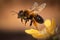 Closeup view of honey bee on the table, in a flight and on honeycomb. Useful insect