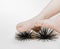 Closeup view of human feet doing massage therapy on artificial sea urchins model