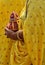 Closeup view  of Indian  Jain woman holding pot with water
