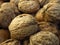 Closeup view of many walnuts. Walnut crop, harvest, production background.